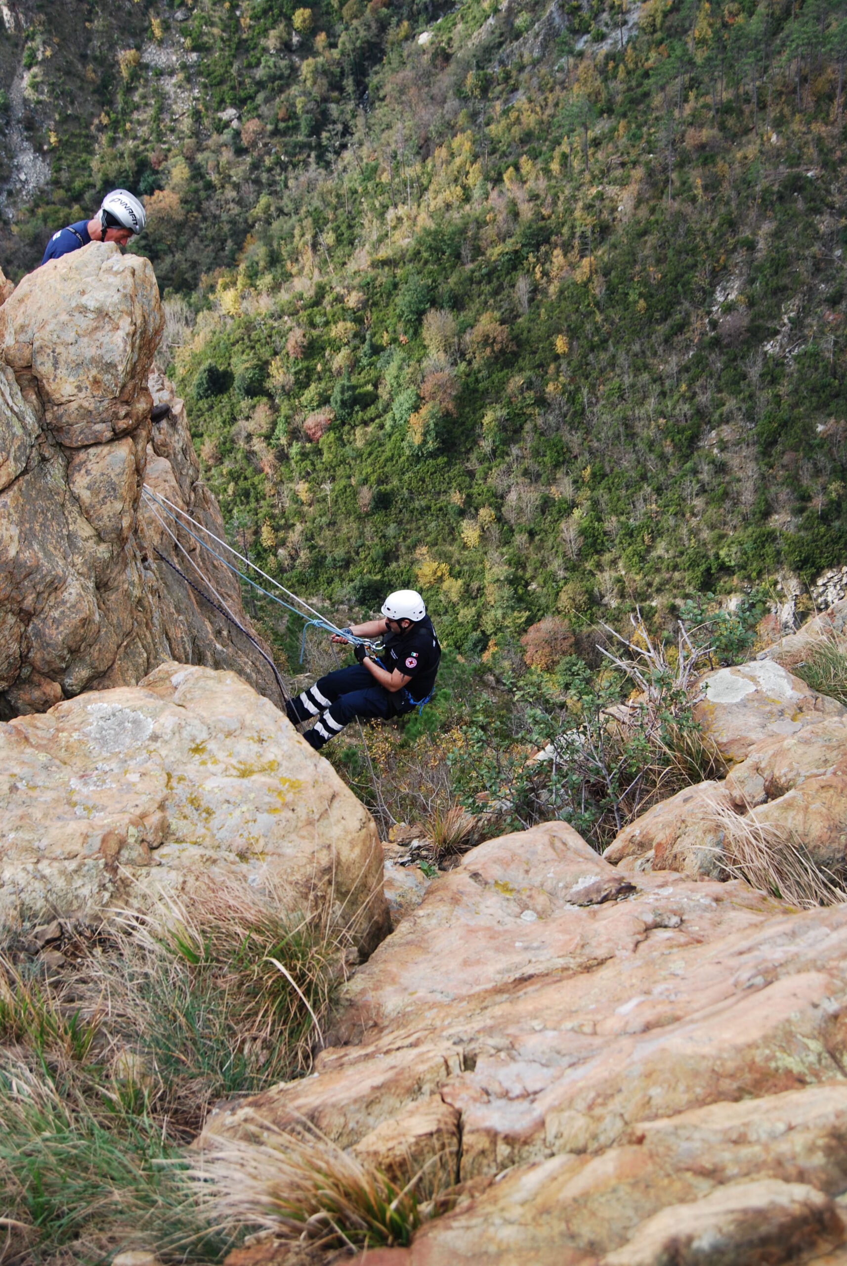 Croce Rossa Italiana - Comitato di Arenzano