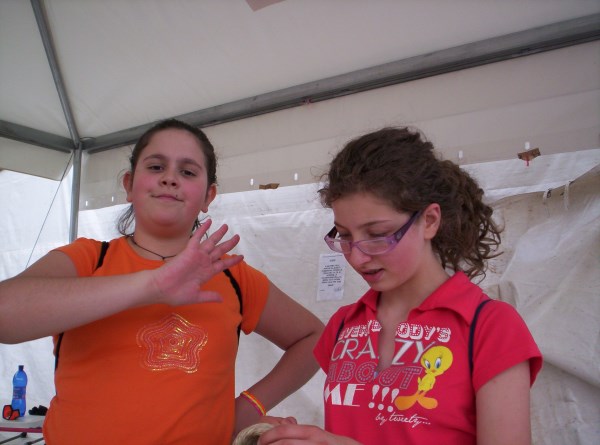 Croce Rossa Italiana - Comitato di Arenzano