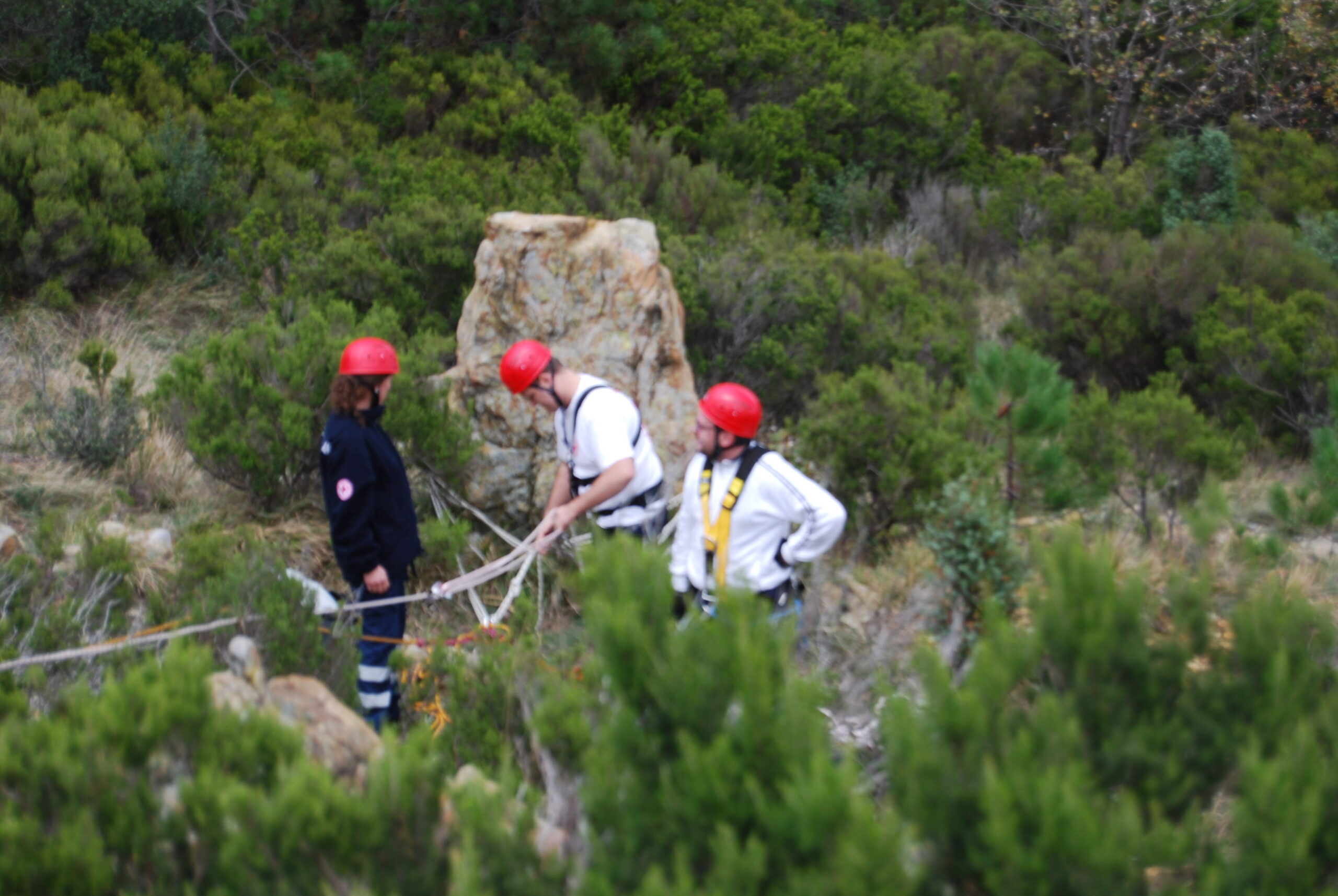 Croce Rossa Italiana - Comitato di Arenzano