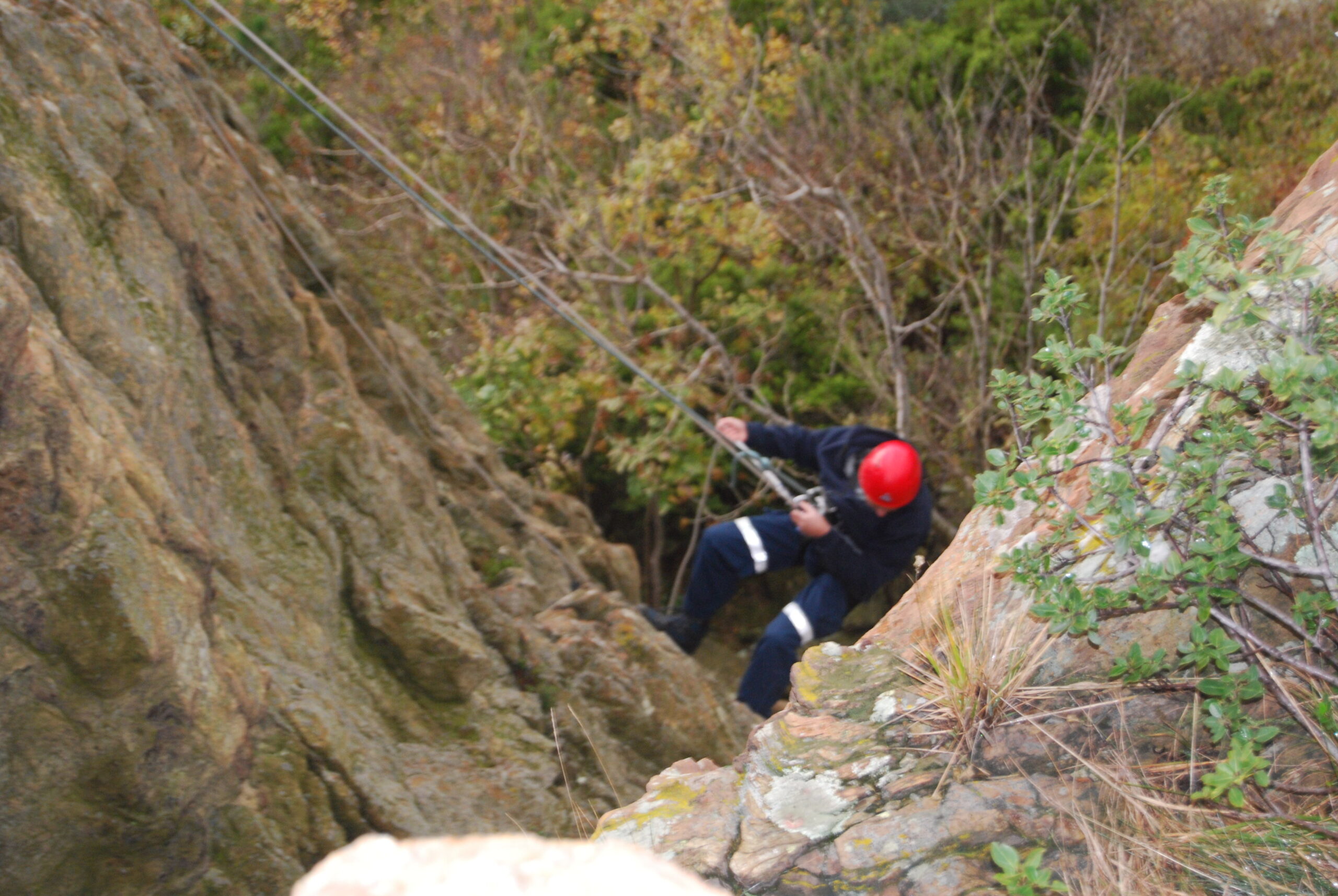 Croce Rossa Italiana - Comitato di Arenzano
