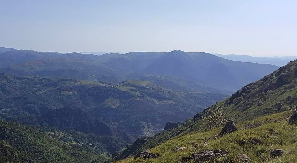 Croce Rossa Italiana - Comitato di Arenzano