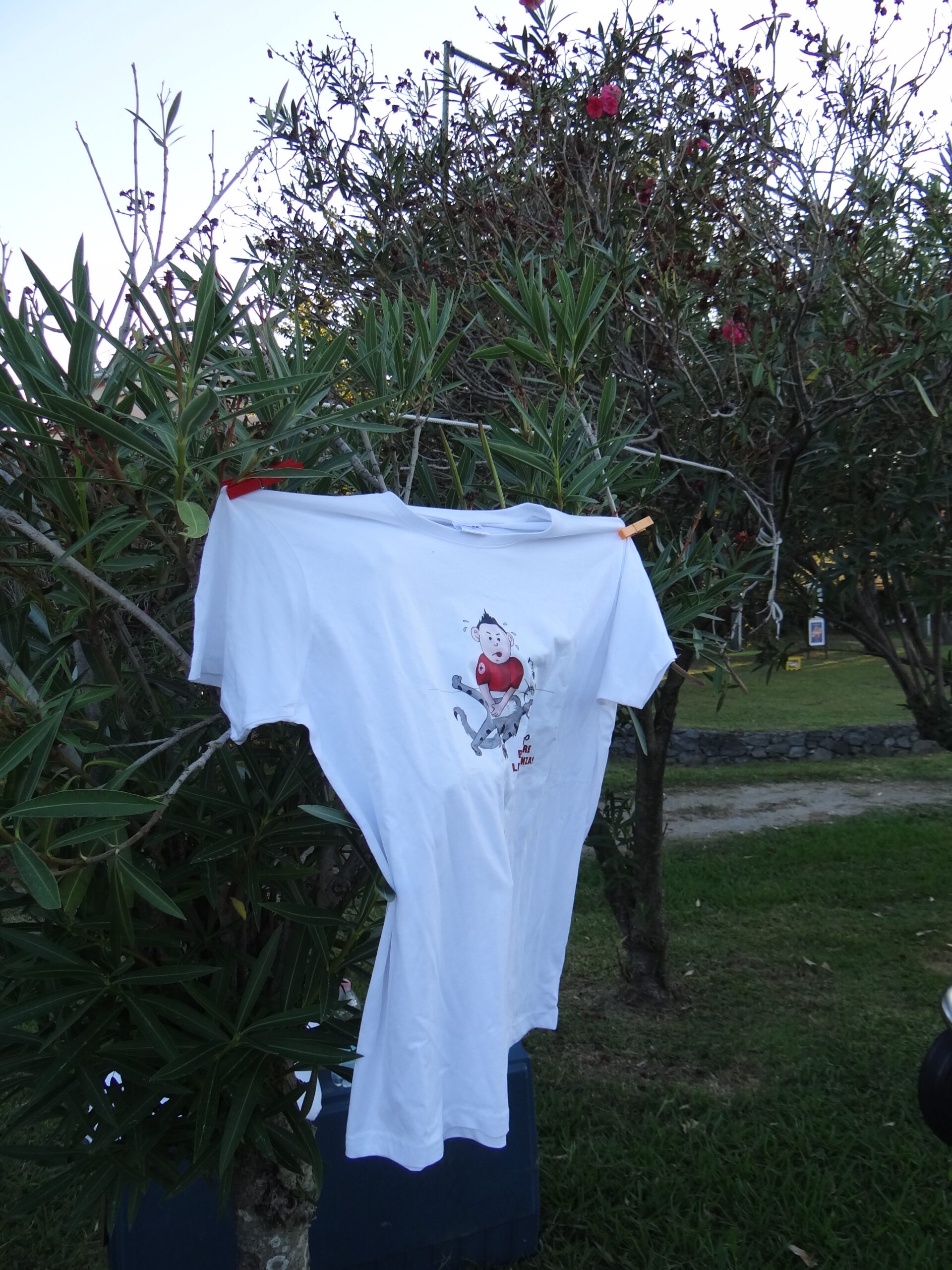 Croce Rossa Italiana - Comitato di Arenzano