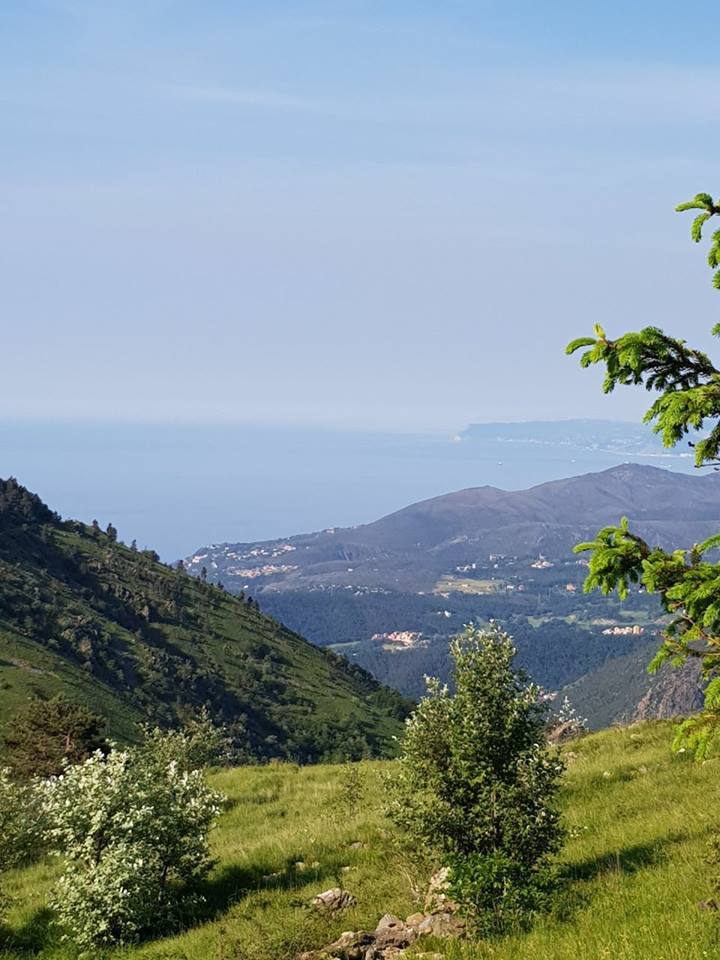 Croce Rossa Italiana - Comitato di Arenzano
