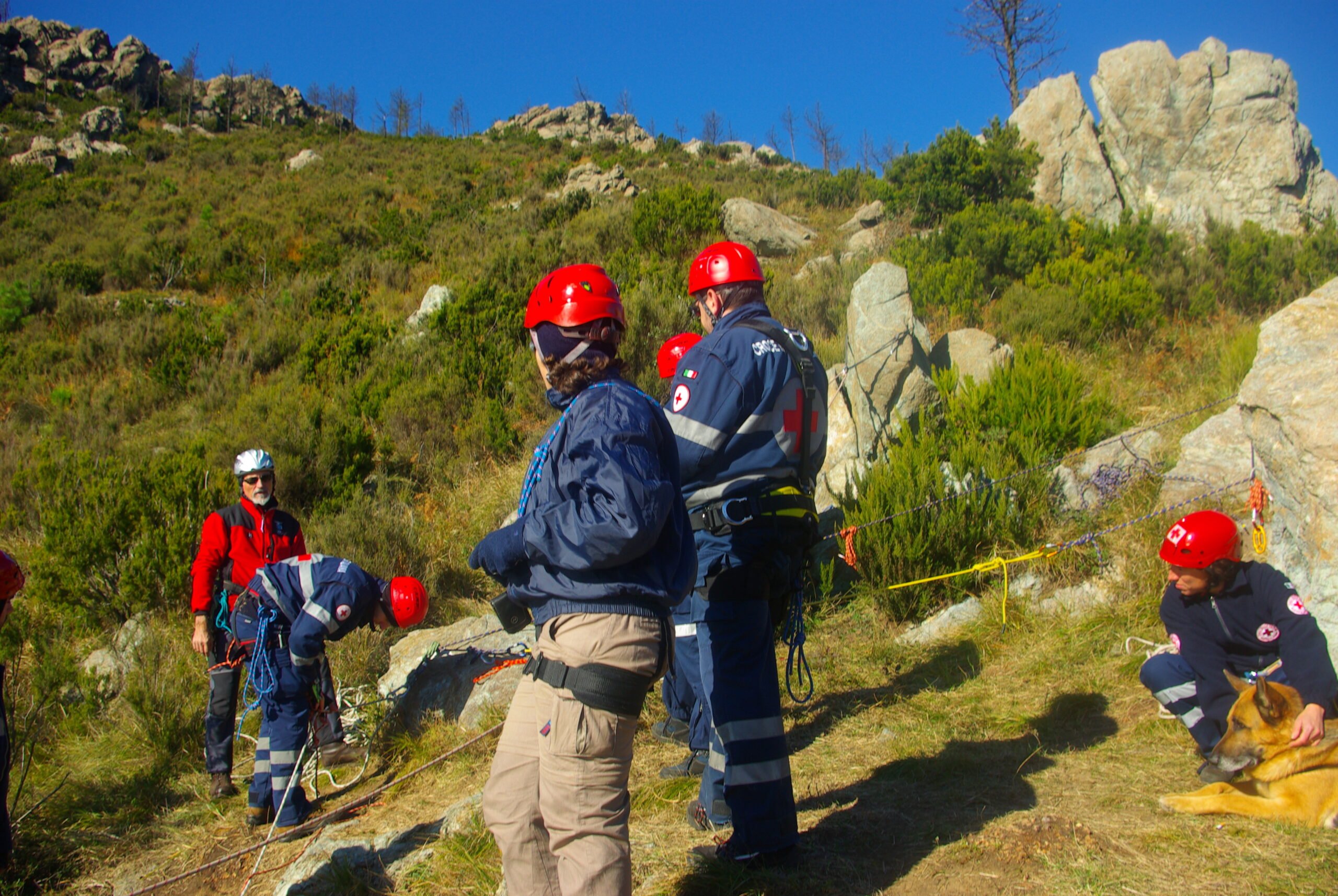 Croce Rossa Italiana - Comitato di Arenzano