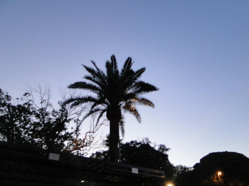 Croce Rossa Italiana - Comitato di Arenzano