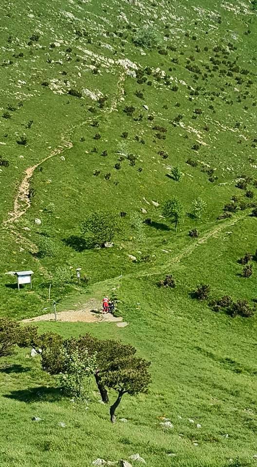 Croce Rossa Italiana - Comitato di Arenzano