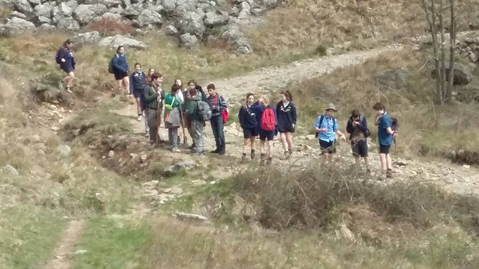 Croce Rossa Italiana - Comitato di Arenzano