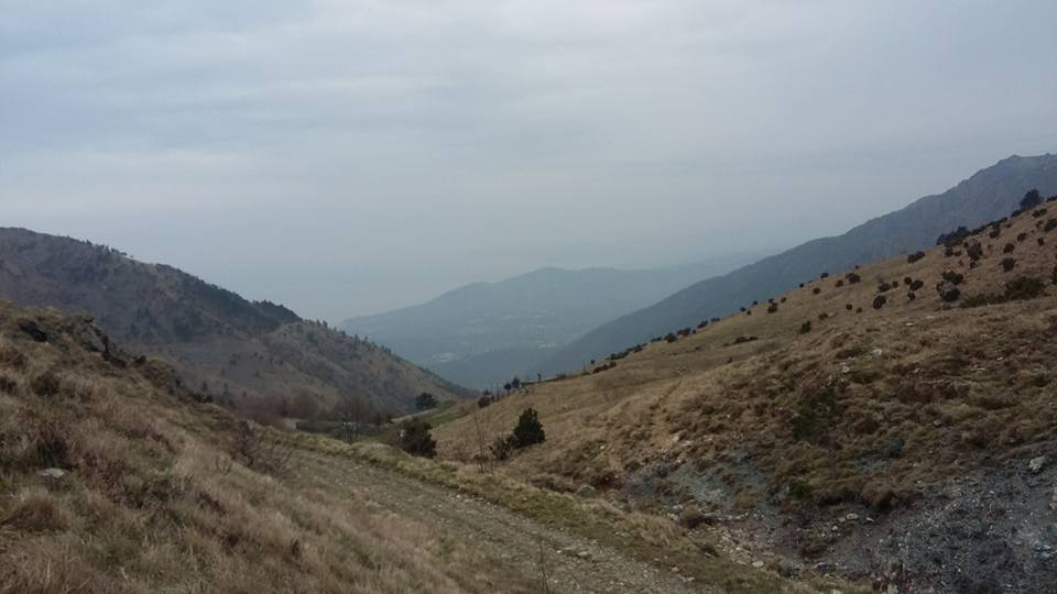 Croce Rossa Italiana - Comitato di Arenzano