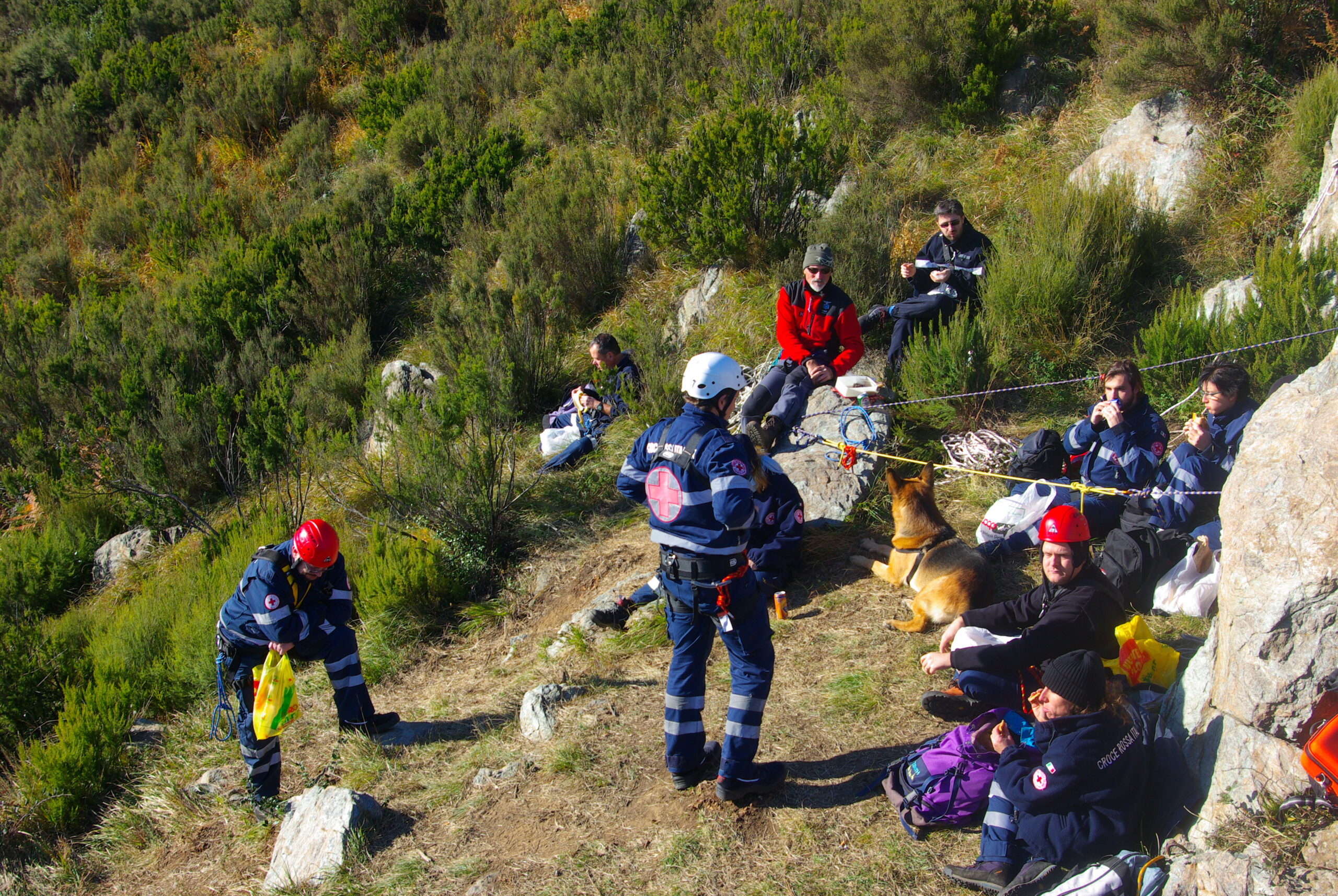 Croce Rossa Italiana - Comitato di Arenzano