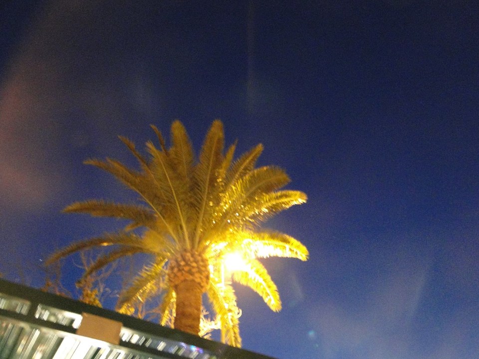 Croce Rossa Italiana - Comitato di Arenzano