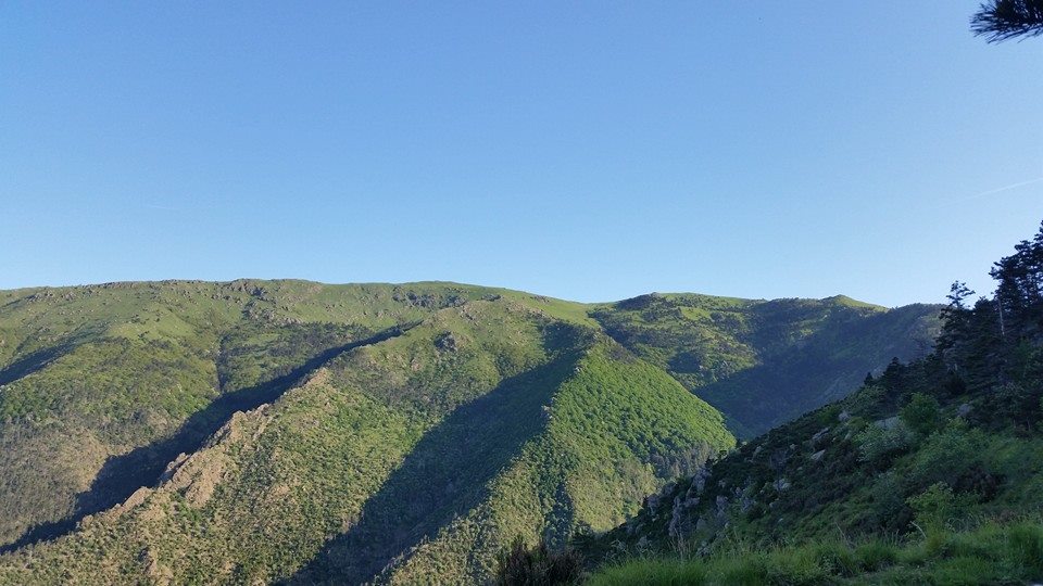 Croce Rossa Italiana - Comitato di Arenzano