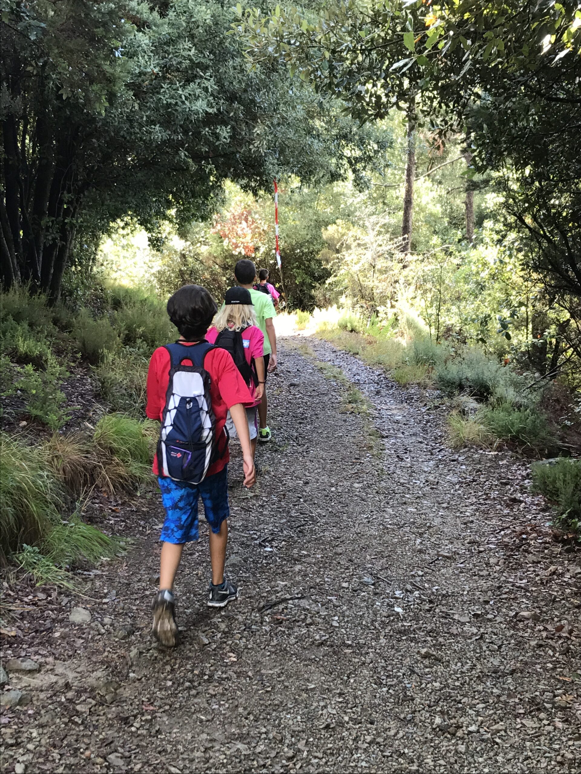 Croce Rossa Italiana - Comitato di Arenzano