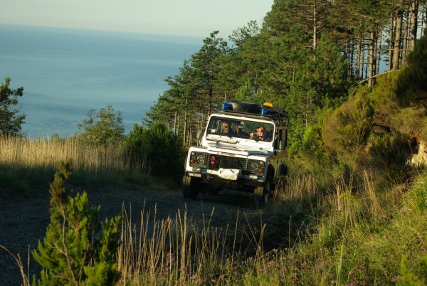 Croce Rossa Italiana - Comitato di Arenzano