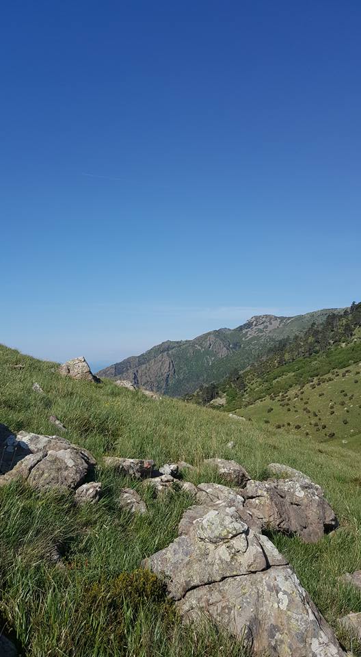 Croce Rossa Italiana - Comitato di Arenzano