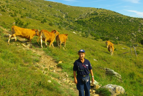 Croce Rossa Italiana - Comitato di Arenzano
