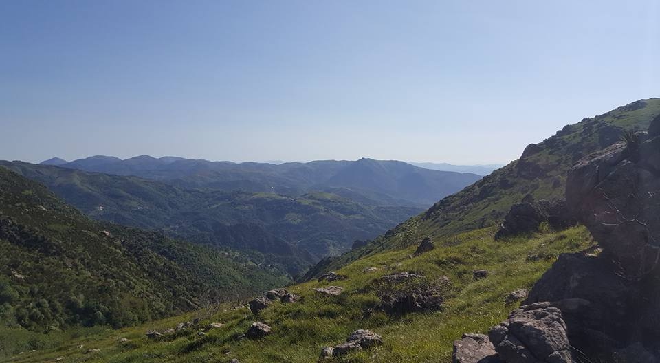Croce Rossa Italiana - Comitato di Arenzano