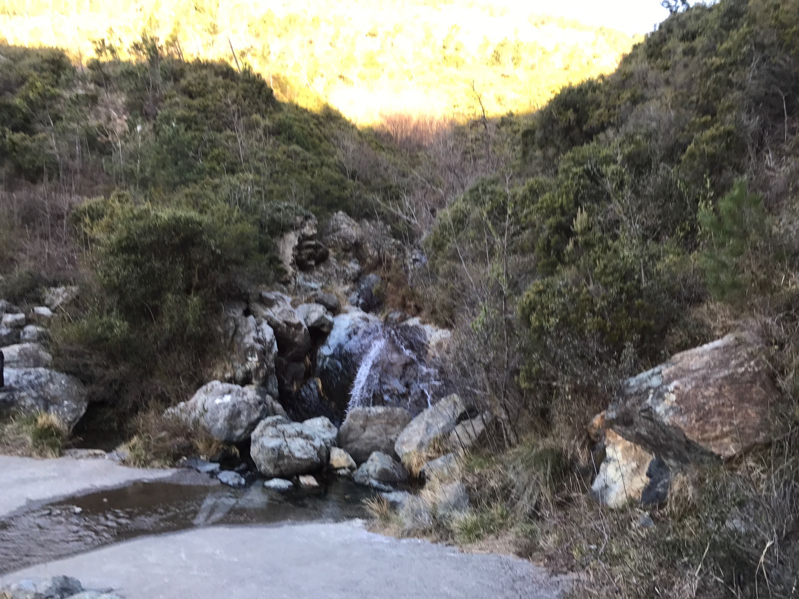 Croce Rossa Italiana - Comitato di Arenzano
