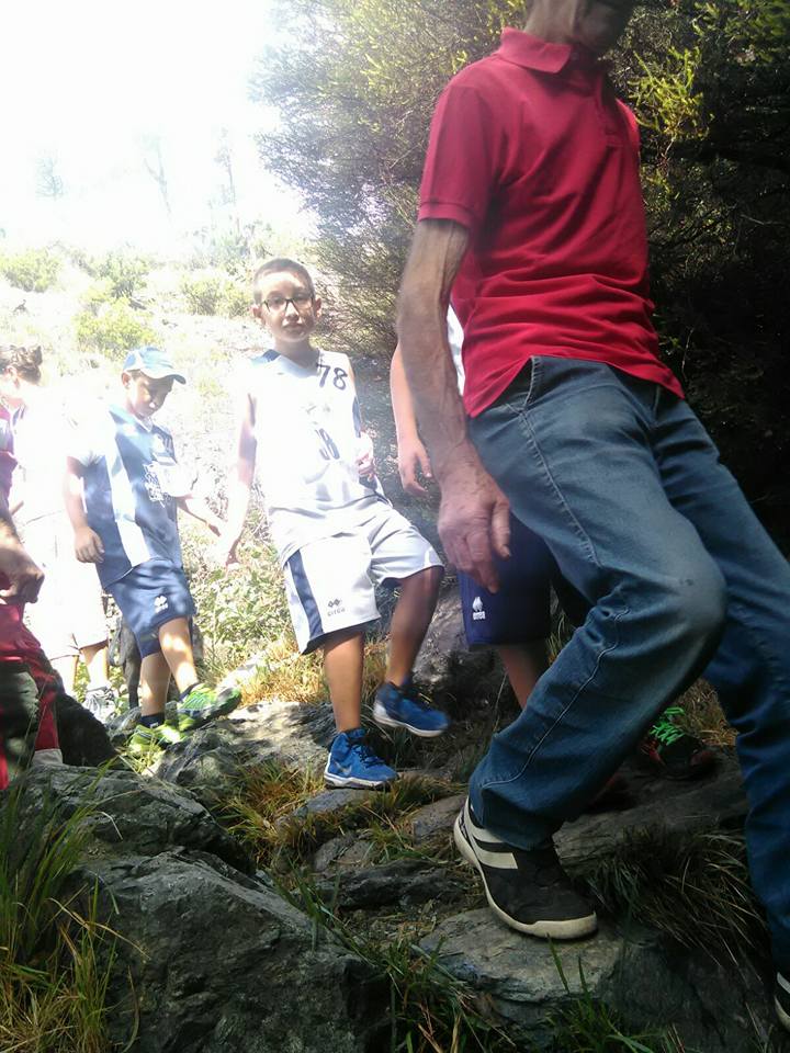 Croce Rossa Italiana - Comitato di Arenzano