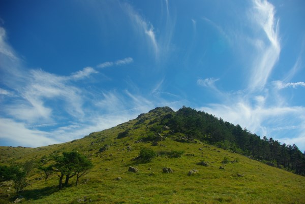 Croce Rossa Italiana - Comitato di Arenzano