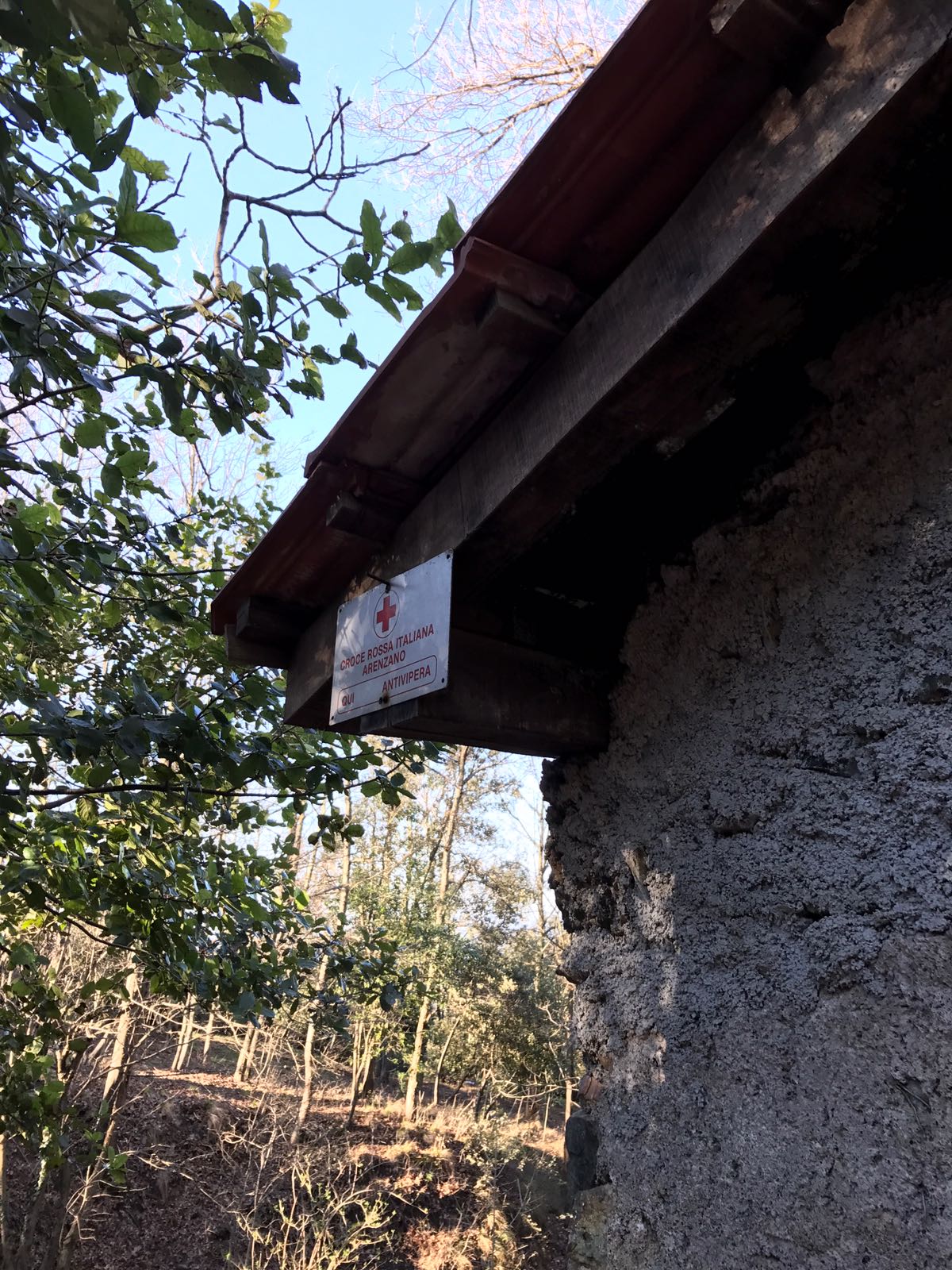 Croce Rossa Italiana - Comitato di Arenzano