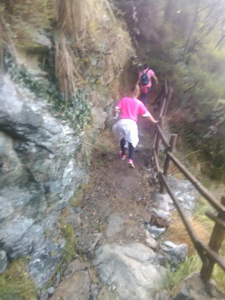 Croce Rossa Italiana - Comitato di Arenzano