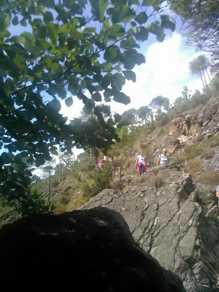 Croce Rossa Italiana - Comitato di Arenzano
