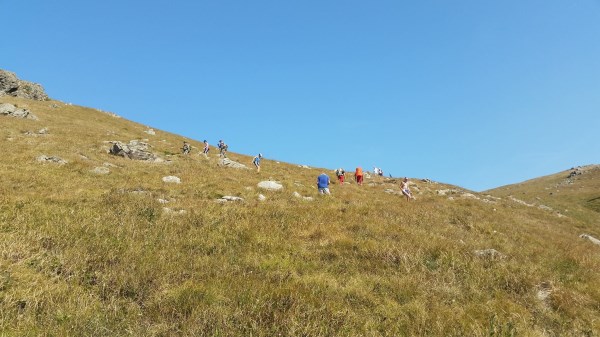 Croce Rossa Italiana - Comitato di Arenzano