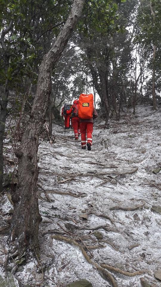 Croce Rossa Italiana - Comitato di Arenzano