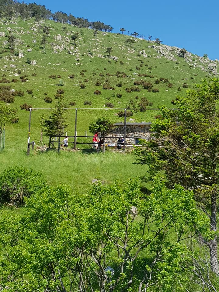Croce Rossa Italiana - Comitato di Arenzano