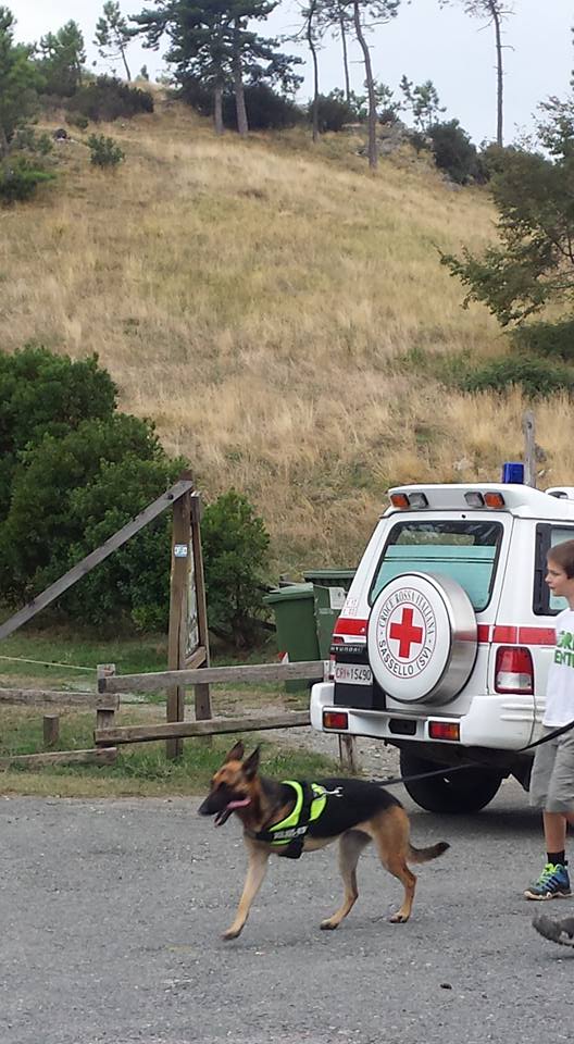 Croce Rossa Italiana - Comitato di Arenzano