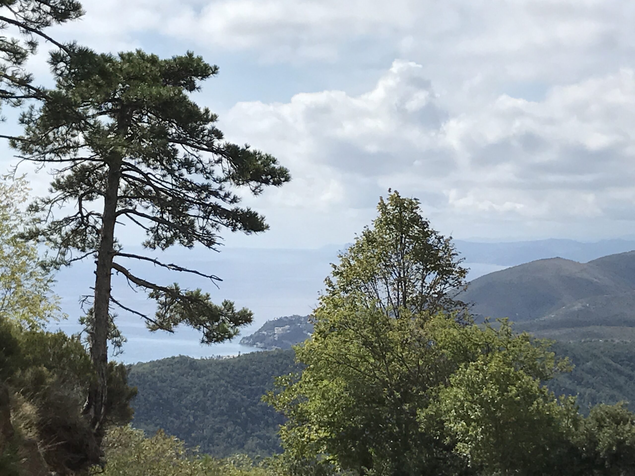 Croce Rossa Italiana - Comitato di Arenzano