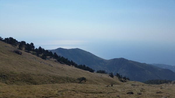 Croce Rossa Italiana - Comitato di Arenzano