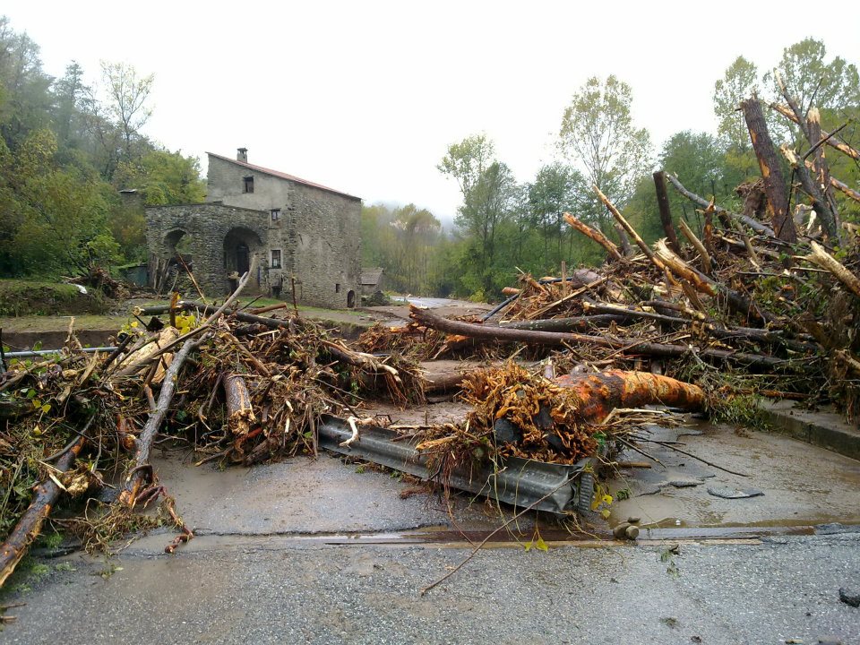 Croce Rossa Italiana - Comitato di Arenzano