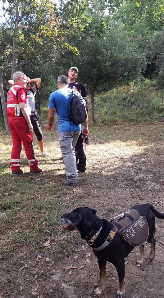 Croce Rossa Italiana - Comitato di Arenzano