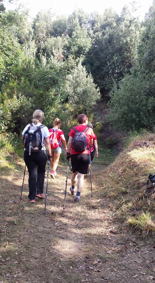 Croce Rossa Italiana - Comitato di Arenzano