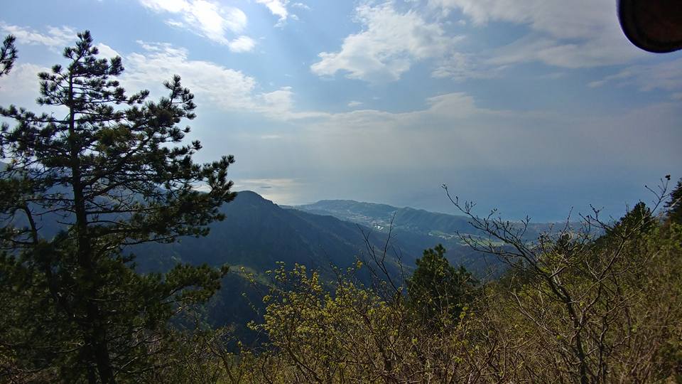 Croce Rossa Italiana - Comitato di Arenzano