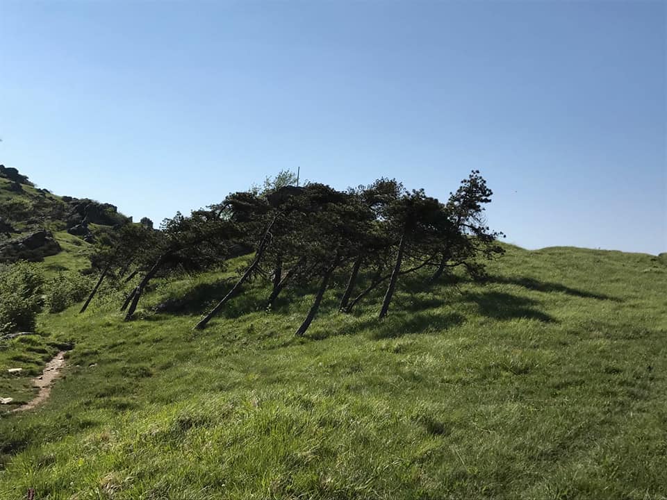 Croce Rossa Italiana - Comitato di Arenzano