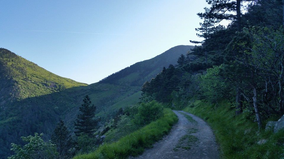 Croce Rossa Italiana - Comitato di Arenzano