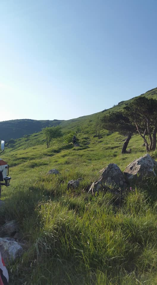 Croce Rossa Italiana - Comitato di Arenzano