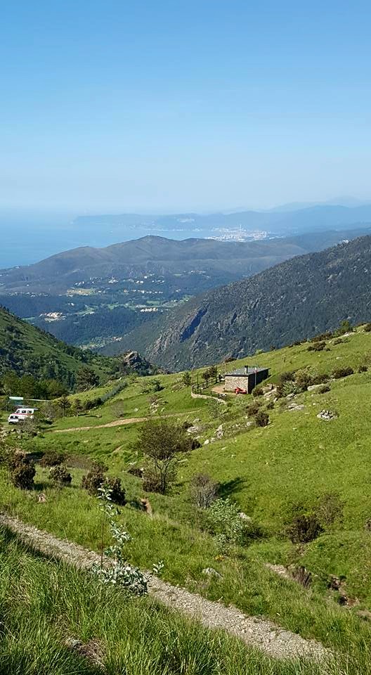 Croce Rossa Italiana - Comitato di Arenzano