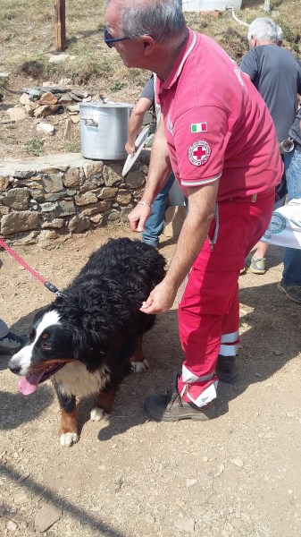Croce Rossa Italiana - Comitato di Arenzano