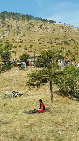 Croce Rossa Italiana - Comitato di Arenzano