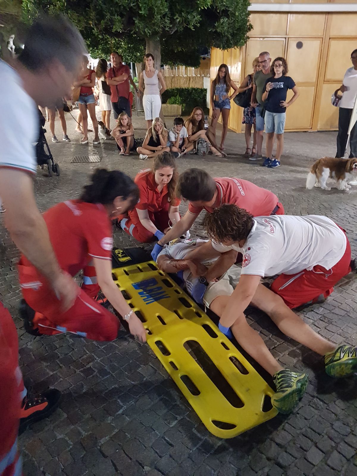 Croce Rossa Italiana - Comitato di Arenzano