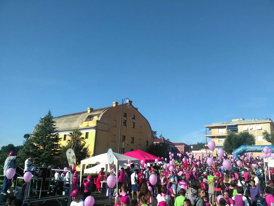 Croce Rossa Italiana - Comitato di Arenzano
