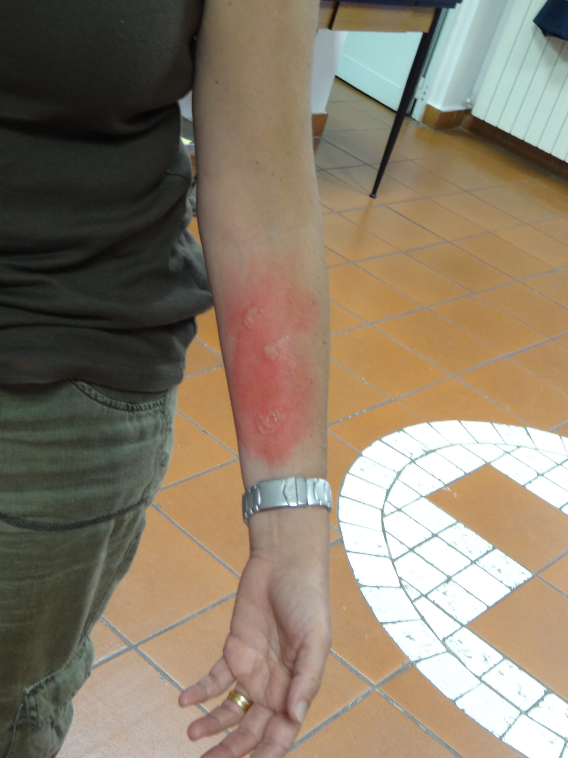 Croce Rossa Italiana - Comitato di Arenzano