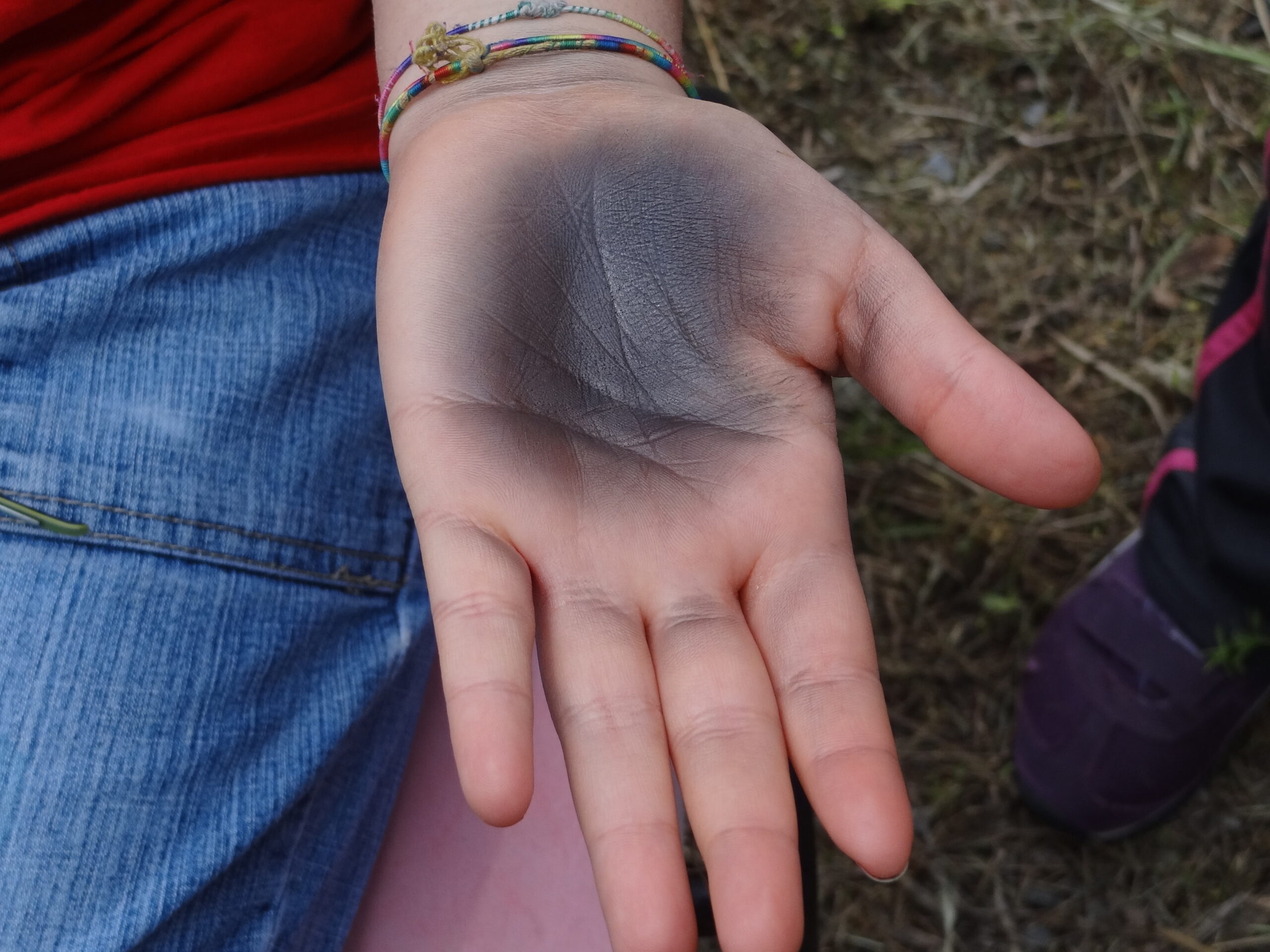 Croce Rossa Italiana - Comitato di Arenzano