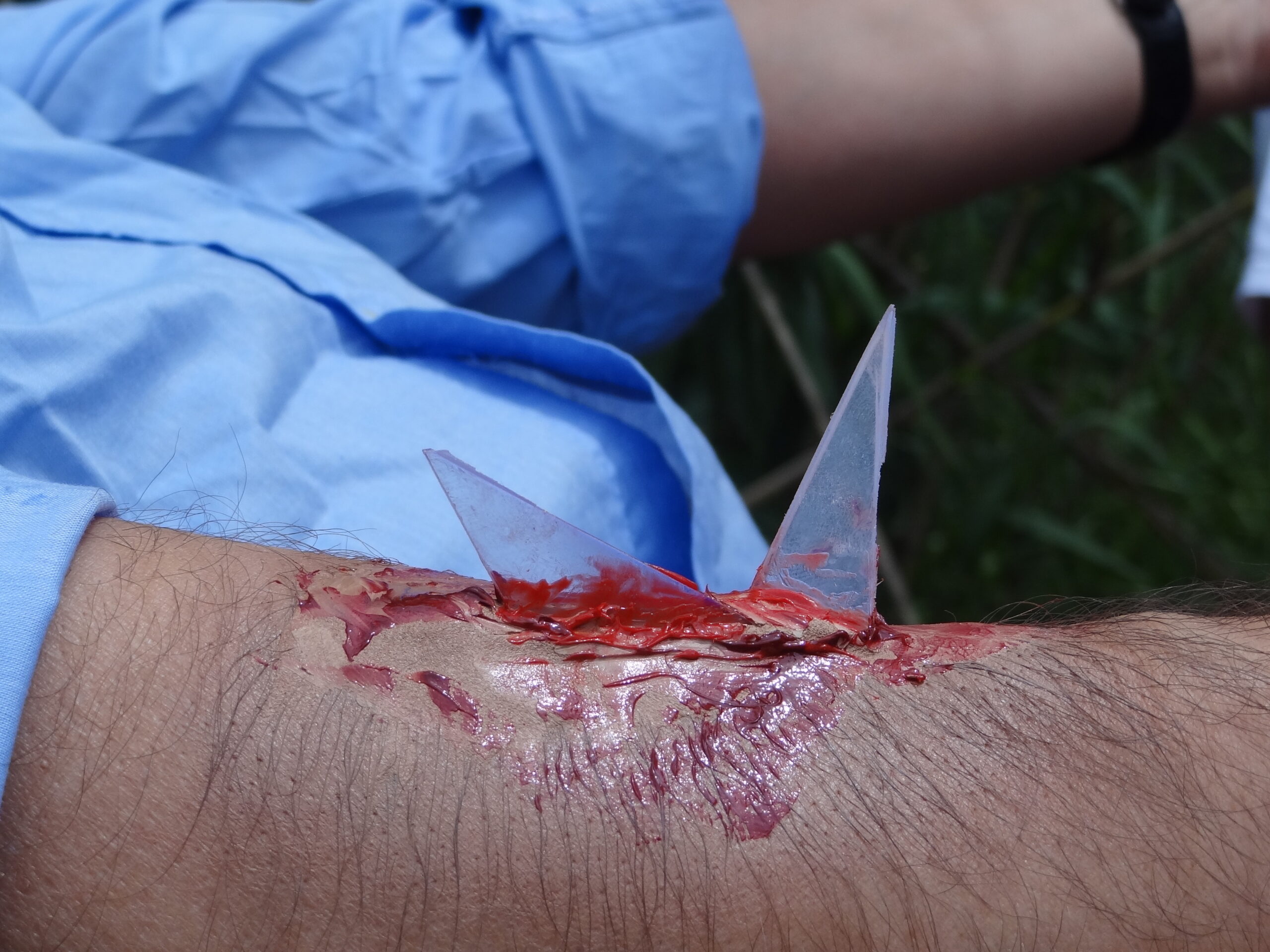 Croce Rossa Italiana - Comitato di Arenzano