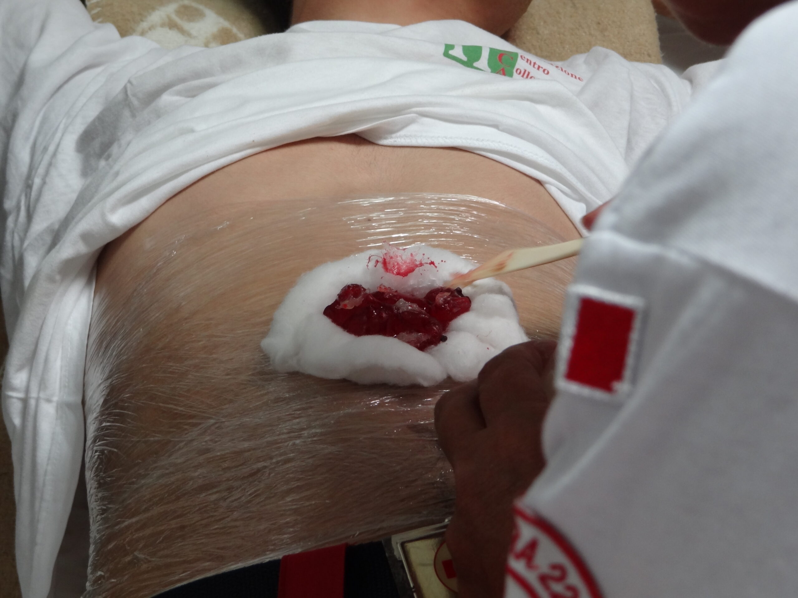 Croce Rossa Italiana - Comitato di Arenzano