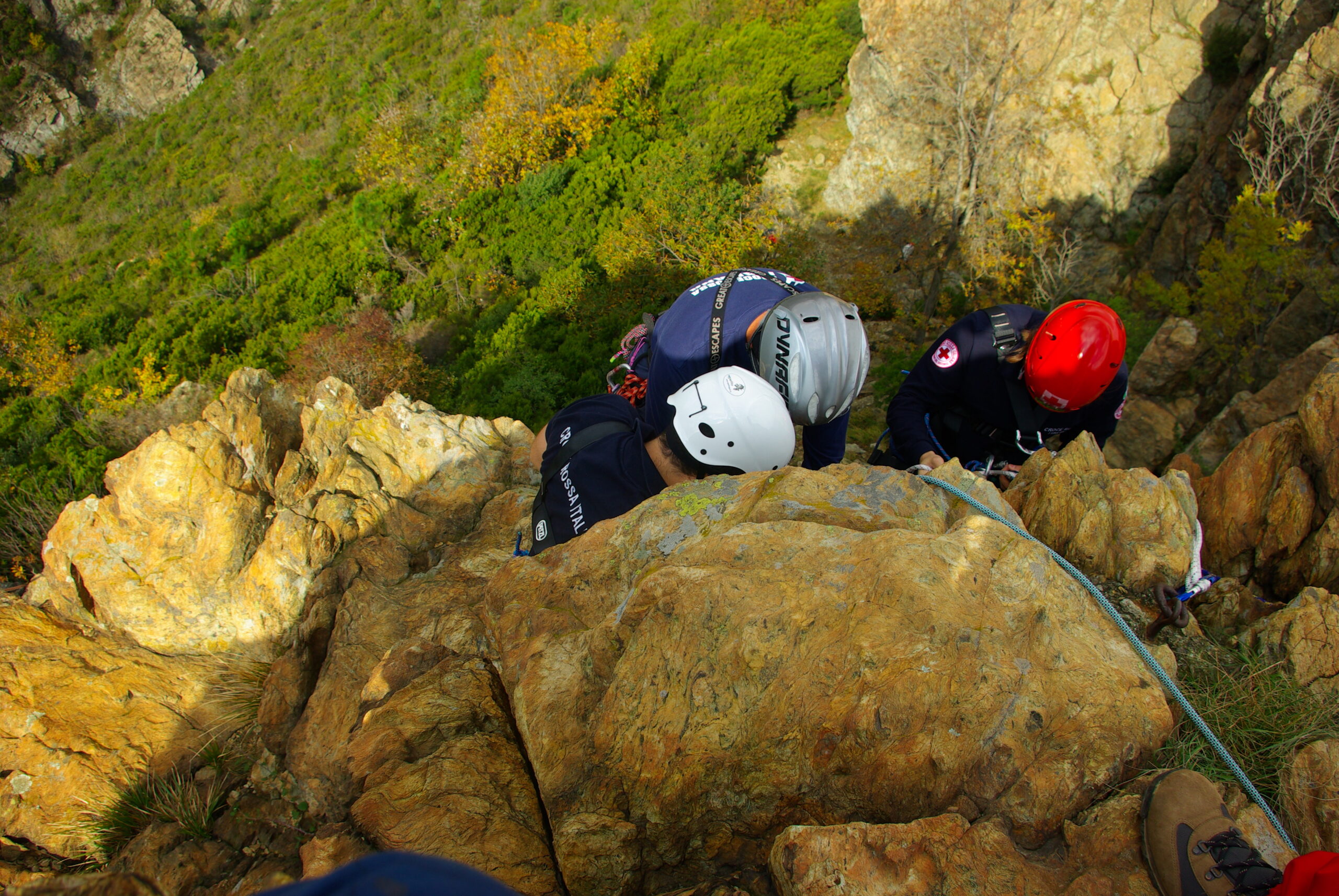 Croce Rossa Italiana - Comitato di Arenzano