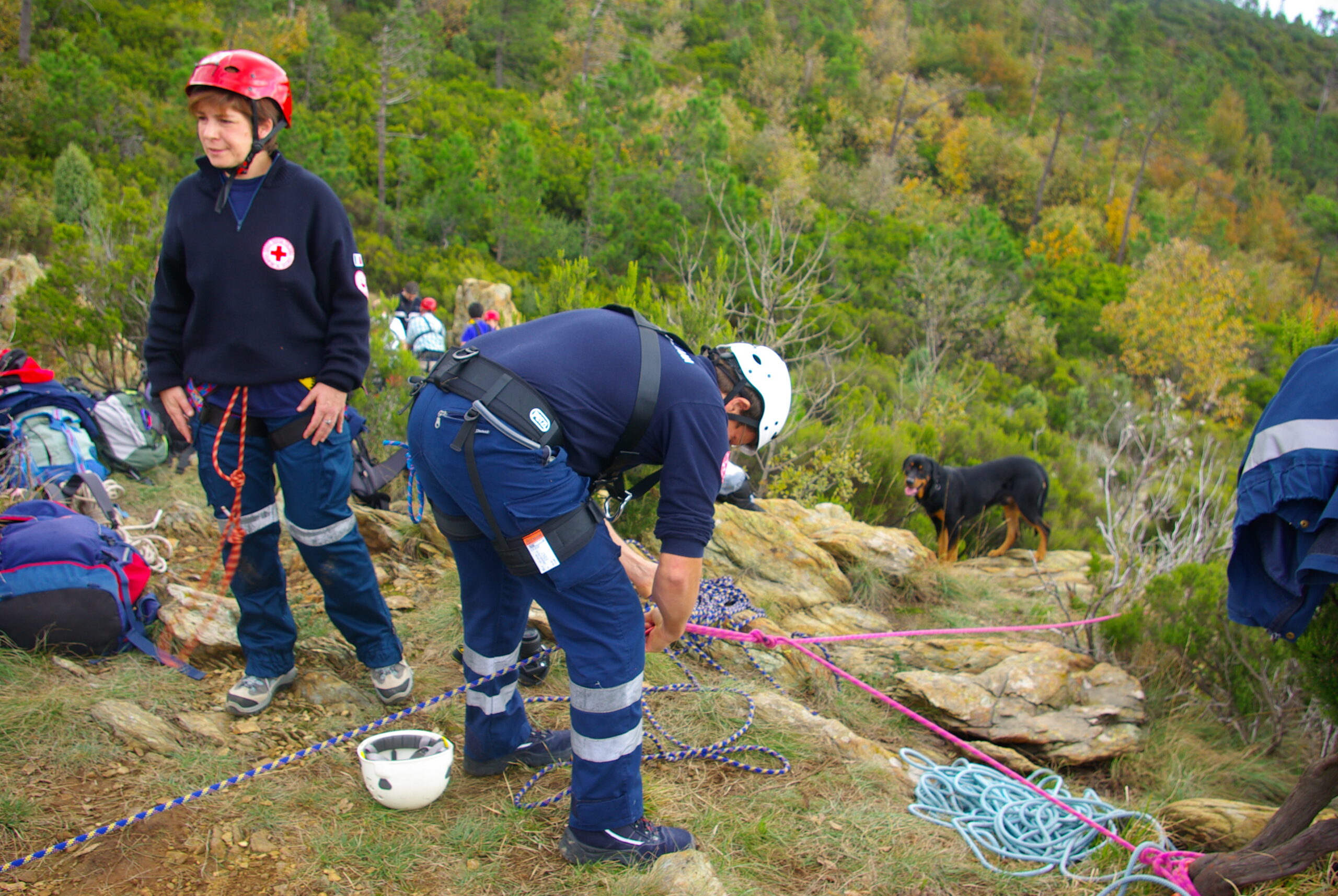 Croce Rossa Italiana - Comitato di Arenzano